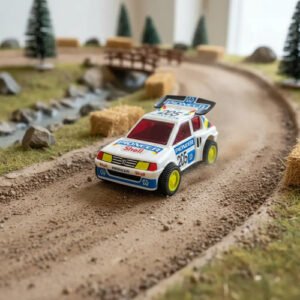 Peugeot 205 Rally Dakar · Auto de colección Rivaplast